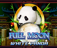 Full Moon: White Panda